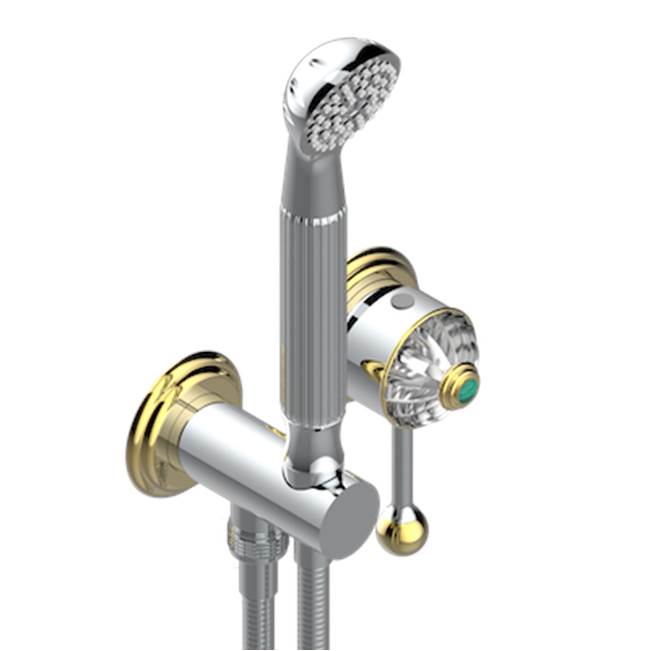 THG - Trim Only For Wall Mixer With Complete Handshower On Hook - Chrome Polished Gold Polished