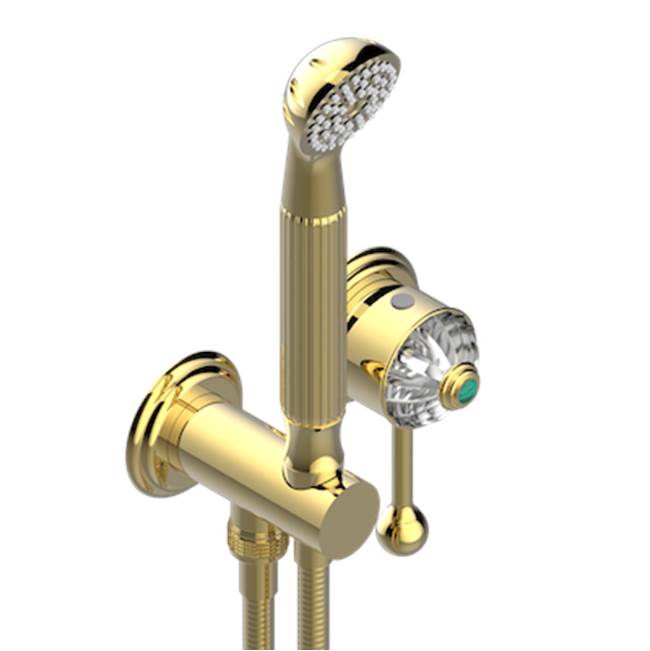 THG - Trim Only For Wall Mixer With Complete Handshower On Hook - Gold Color PVD