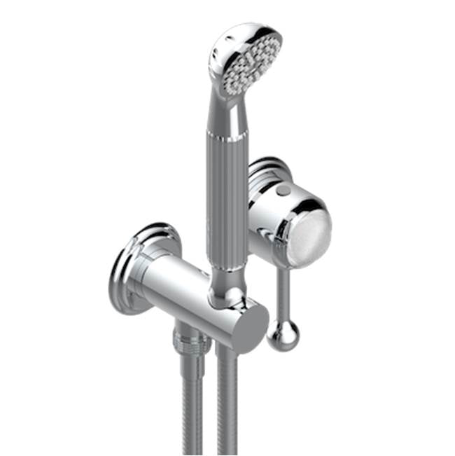 THG - Trim Only For Wall Mixer With Complete Handshower On Hook - Gold Mat