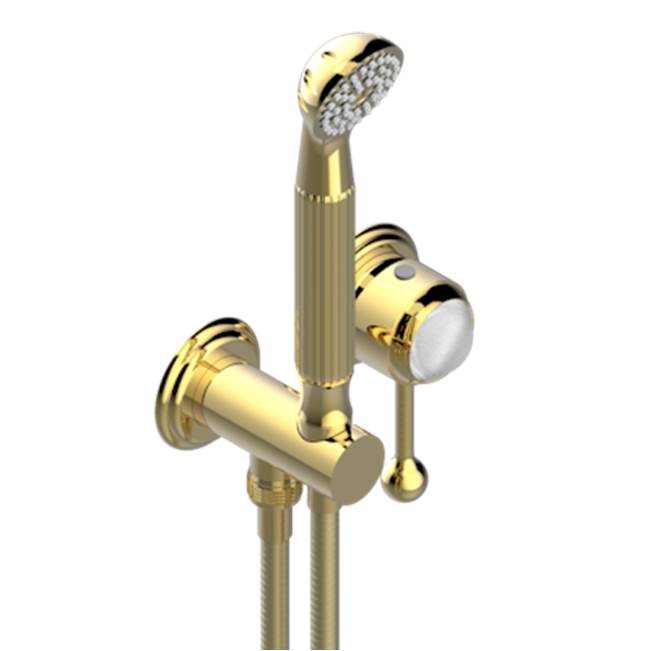 THG - Trim Only For Wall Mixer With Complete Handshower On Hook - Gold Polished