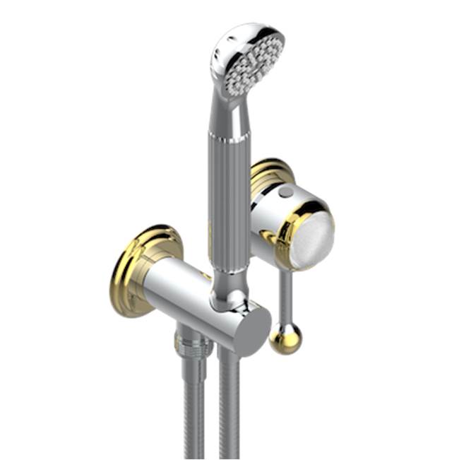 THG - Trim Only For Wall Mixer With Complete Handshower On Hook - Chrome Polished Gold Polished