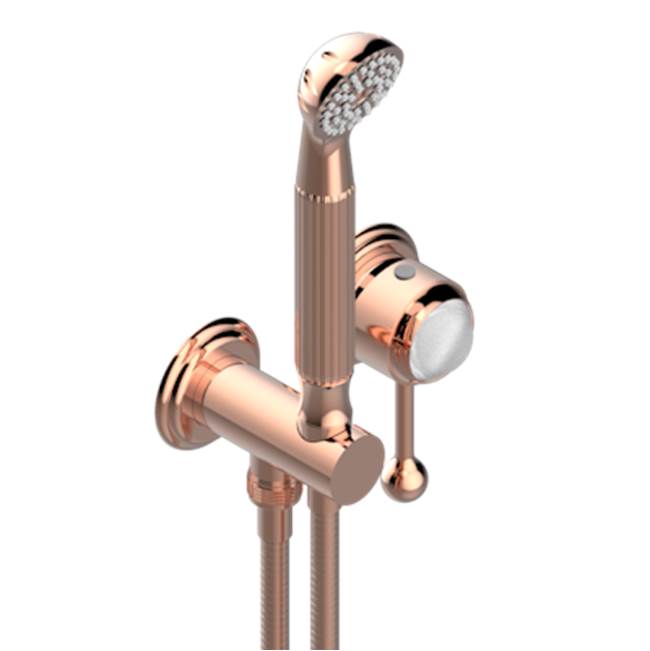 THG - Trim Only For Wall Mixer With Complete Handshower On Hook - Blush PVD