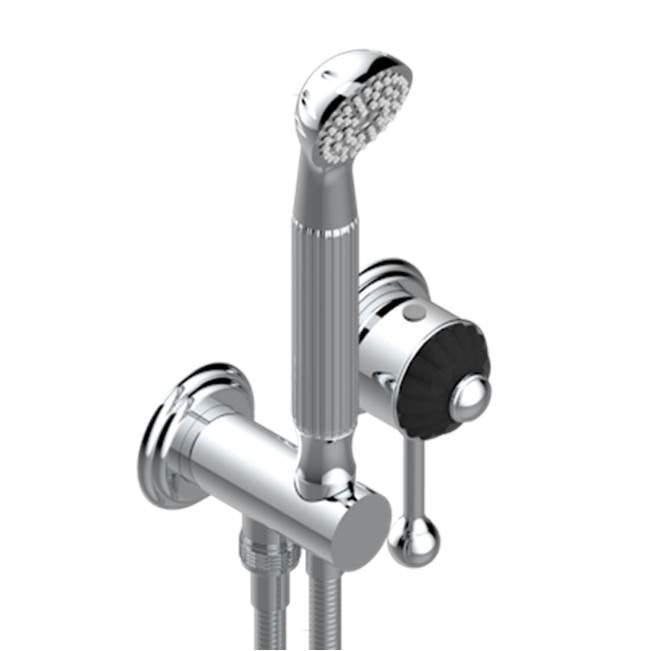 THG - Trim Only For Wall Mixer With Complete Handshower On Hook - Umber PVD