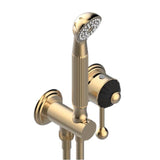 THG - Trim Only For Wall Mixer With Complete Handshower On Hook - Matt Umber PVD