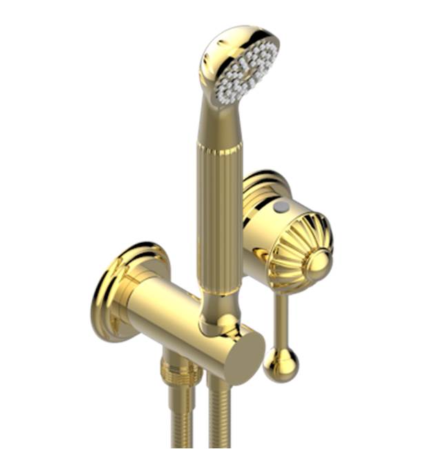 THG - Trim Only For Wall Mixer With Complete Handshower On Hook - Gold Polished