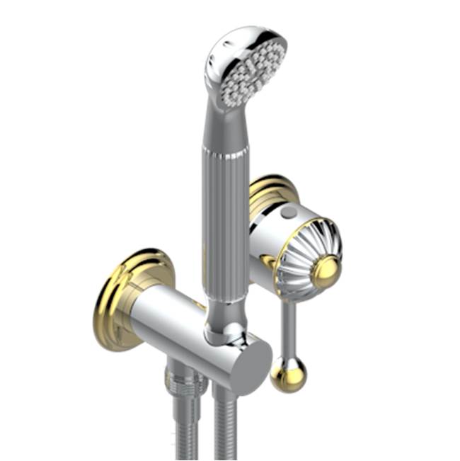 THG - Trim Only For Wall Mixer With Complete Handshower On Hook - Chrome Polished Gold Polished