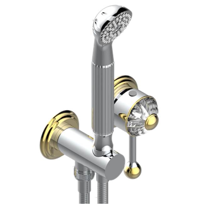 THG - Trim Only For Wall Mixer With Complete Handshower On Hook - Chrome Polished Gold Polished