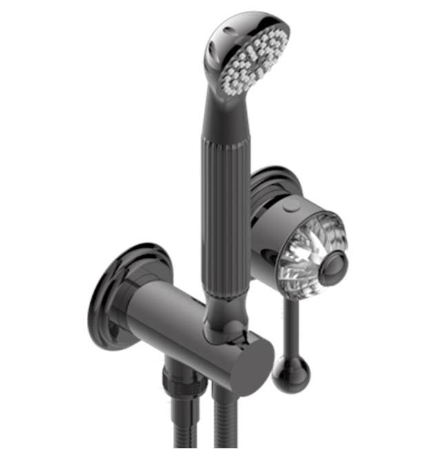 THG - Trim Only For Wall Mixer With Complete Handshower On Hook - Matt Graphite PVD