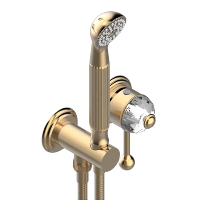 THG - Trim Only For Wall Mixer With Complete Handshower On Hook - Matt Umber PVD
