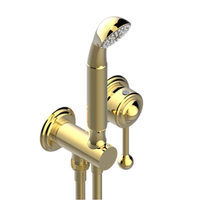 THG - Trim Only For Wall Mixer With Complete Handshower On Hook - Gold Polished