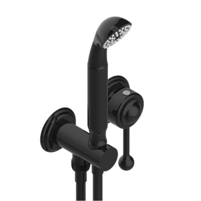 THG - Trim Only For Wall Mixer With Complete Handshower On Hook - Brown Bronze Color PVD