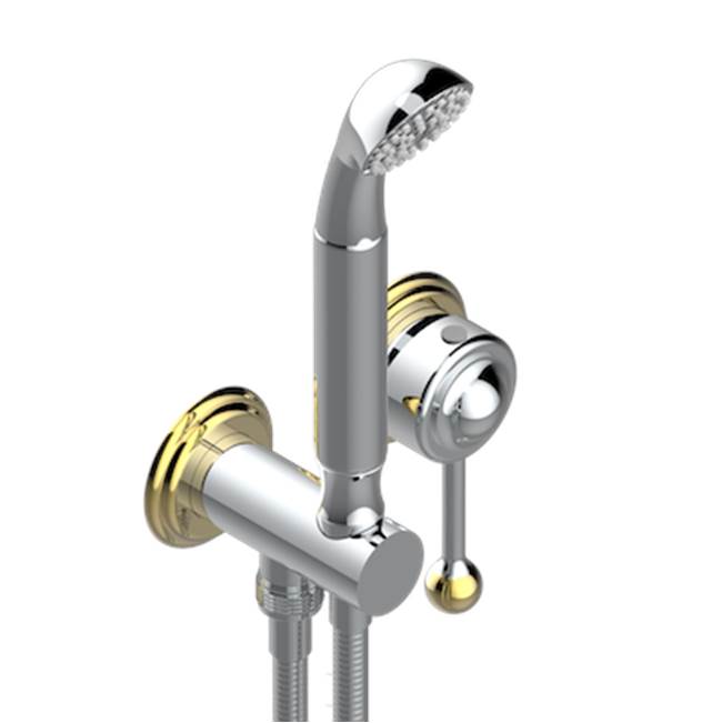 THG - Trim Only For Wall Mixer With Complete Handshower On Hook - Chrome Polished Gold Polished