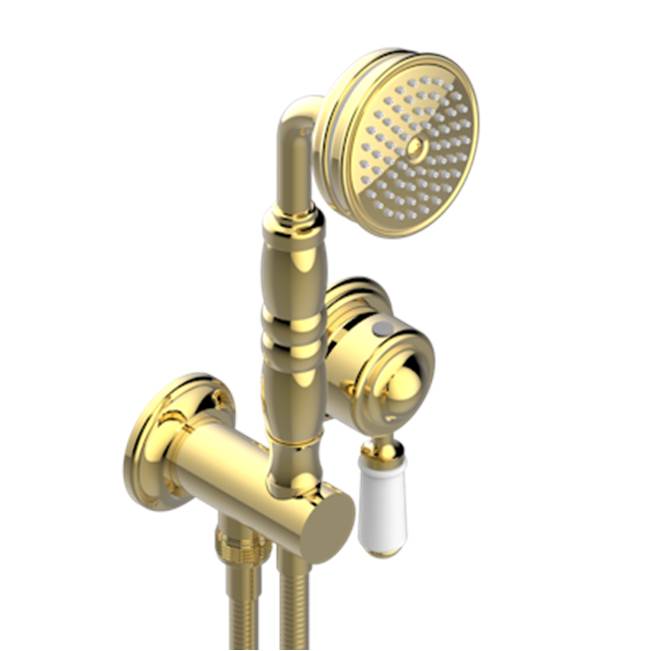 THG - Trim Only For Wall Mixer With Complete Handshower On Hook - Gold Polished