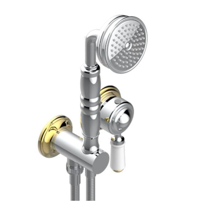 THG - Trim Only For Wall Mixer With Complete Handshower On Hook - Chrome Polished Gold Polished