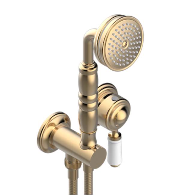 THG - Trim Only For Wall Mixer With Complete Handshower On Hook - Matt Umber PVD