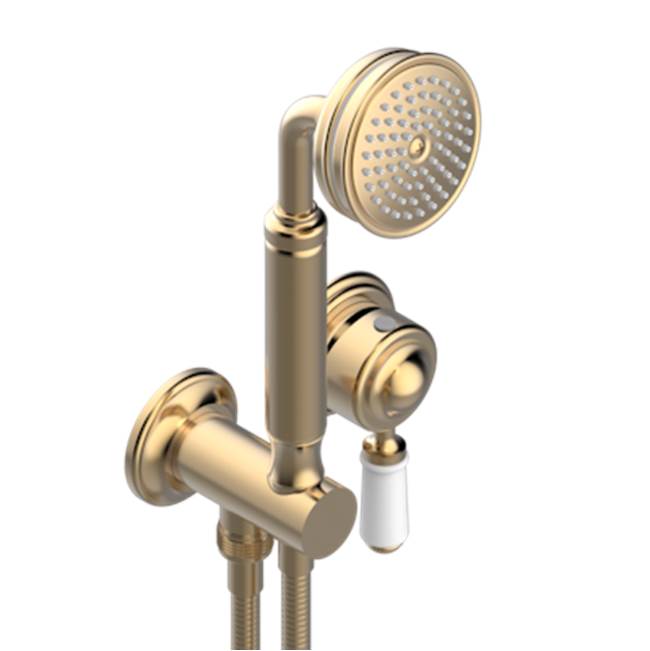 THG - Trim Only For Wall Mixer With Complete Handshower On Hook - Matt Umber PVD