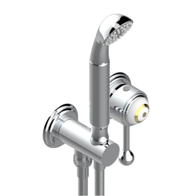 THG - Trim Only For Wall Mixer With Complete Handshower On Hook - Umber PVD