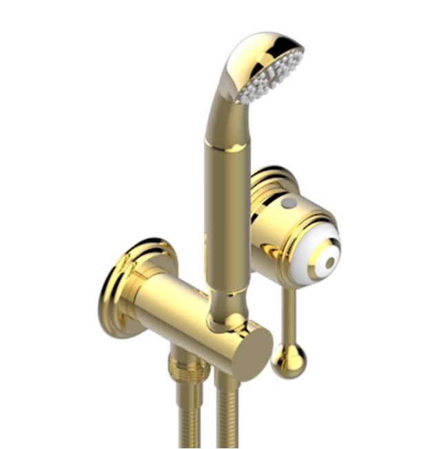 THG - Trim Only For Wall Mixer With Complete Handshower On Hook - Gold Color PVD