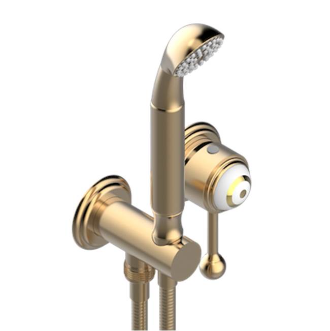 THG - Trim Only For Wall Mixer With Complete Handshower On Hook - Matt Umber PVD
