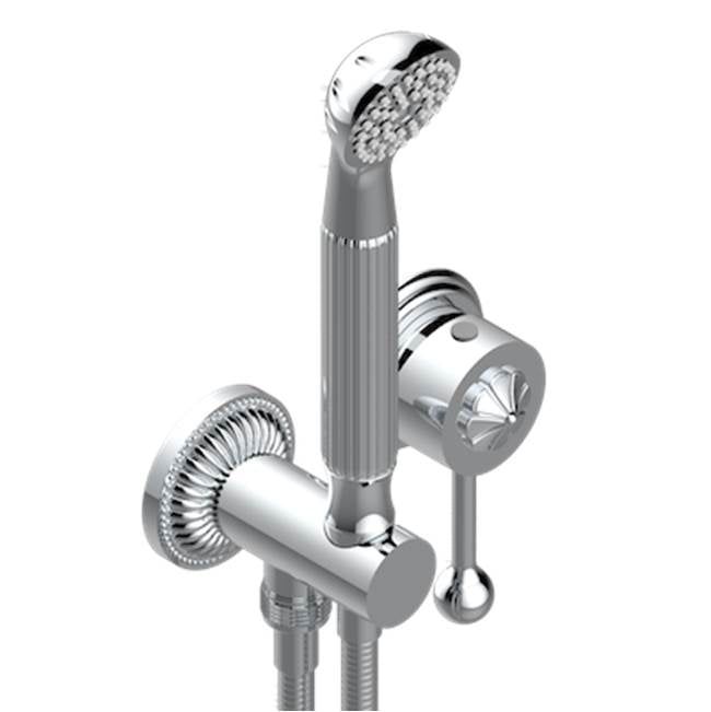 THG - Trim Only For Wall Mixer With Complete Handshower On Hook - Matt Umber PVD