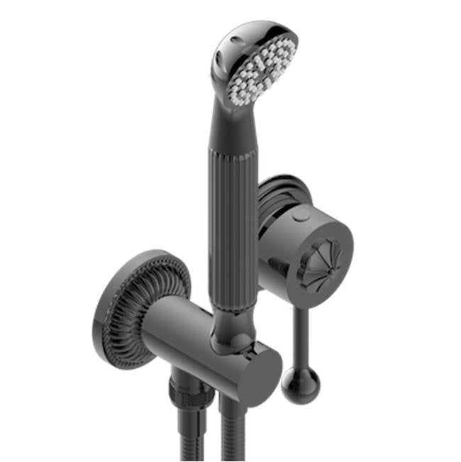 THG - Trim Only For Wall Mixer With Complete Handshower On Hook - Matt Graphite PVD