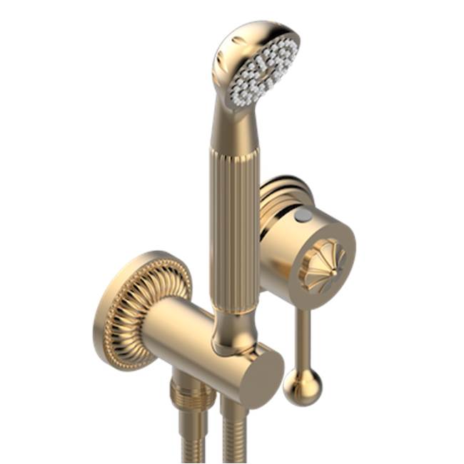 THG - Trim Only For Wall Mixer With Complete Handshower On Hook - Matt Umber PVD