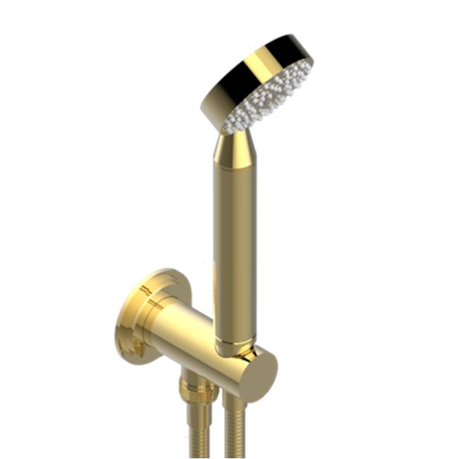 THG - Wall Mounted Handshower With Integrated Fixed Hook - Gold Polished