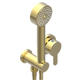 THG - Trim Only For Wall Mixer With Complete Handshower On Hook - Gold Color PVD