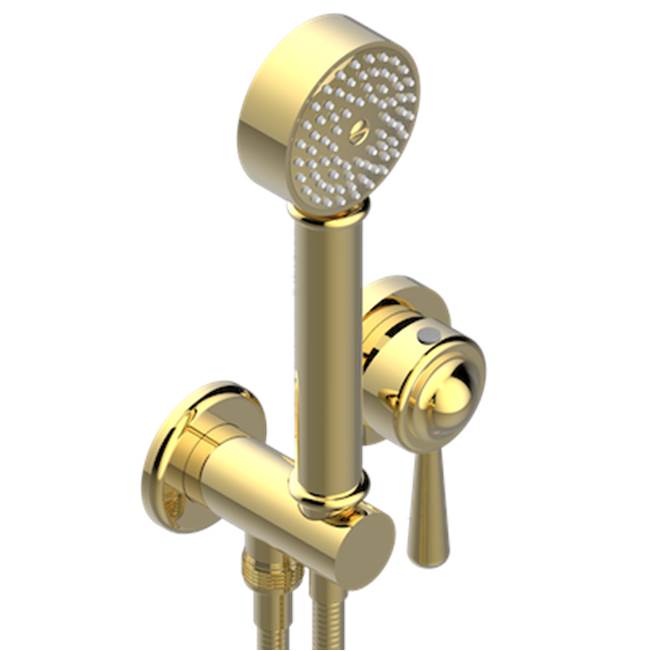 THG - Trim Only For Wall Mixer With Complete Handshower On Hook - Gold Polished