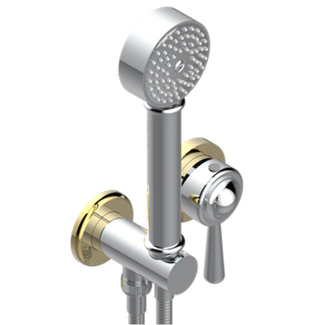 THG - Trim Only For Wall Mixer With Complete Handshower On Hook - Chrome Polished Gold Polished