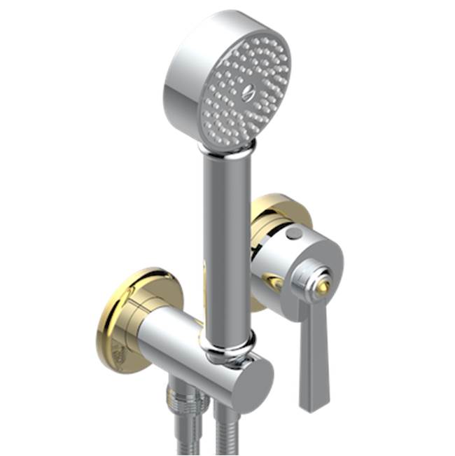 THG - Trim Only For Wall Mixer With Complete Handshower On Hook - Chrome Polished Gold Polished