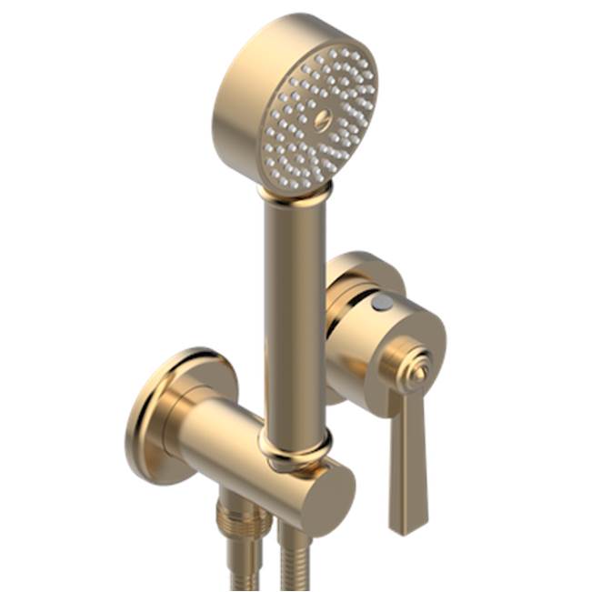 THG - Trim Only For Wall Mixer With Complete Handshower On Hook - Matt Umber PVD