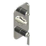 THG - Trim For Thg Thermostat 2 Volume Controls, Rough Part Supplied With Fixing Box Ref. 5 400ae/us - Nickel Polished