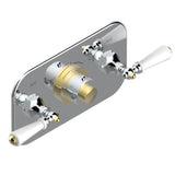 THG - Trim For Thg Thermostat With 2 Valves Ref. 5 401ahm/us Rough Part Supplied With Fixing Box, Item To Be Installed Horizontal - Chrome Polished Gold Polished