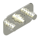 THG - Trim For Thg Thermostat With 2 Valves Ref. 5 401ahm/us Rough Part Supplied With Fixing Box, Item To Be Installed Horizontal - Nickel Polished