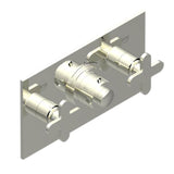 THG - Trim For Thg Thermostat With 2 Valves Ref. 5 401ahm/us Rough Part Supplied With Fixing Box, Item To Be Installed Horizontal - Nickel Polished