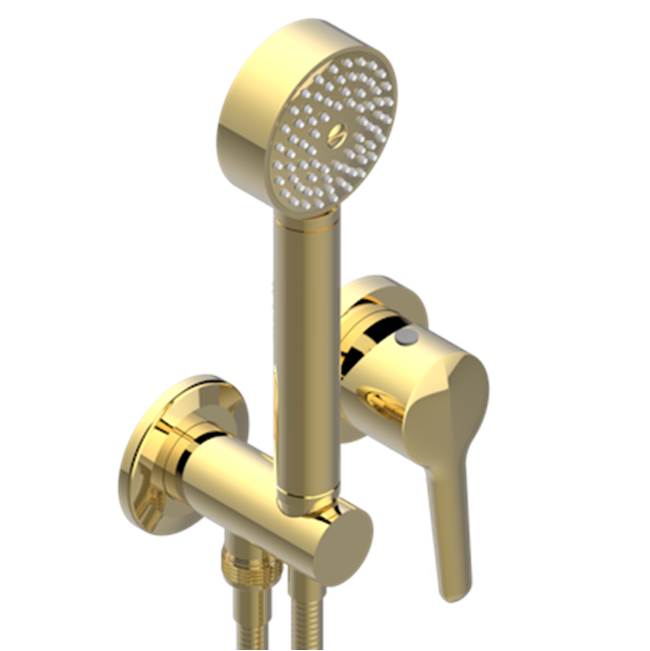 THG - Trim Only For Wall Mixer With Complete Handshower On Hook - Gold Polished