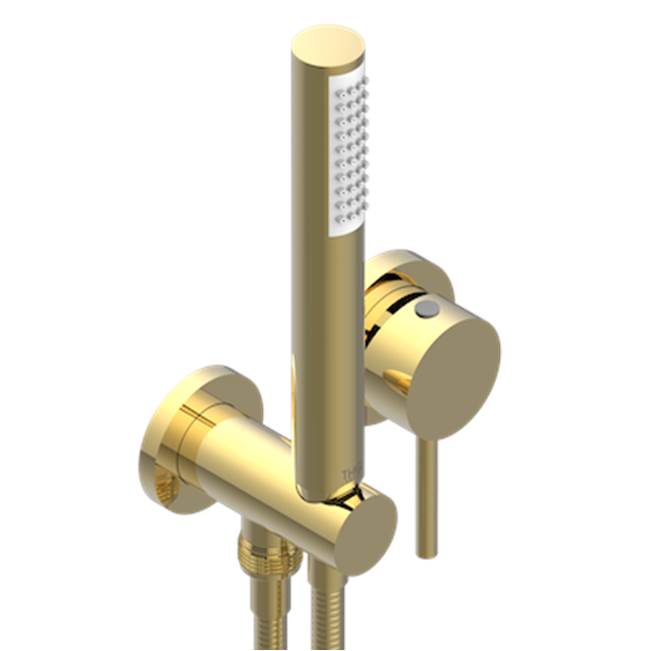 THG - Trim Only For Wall Mixer With Complete Handshower On Hook - Gold Color PVD