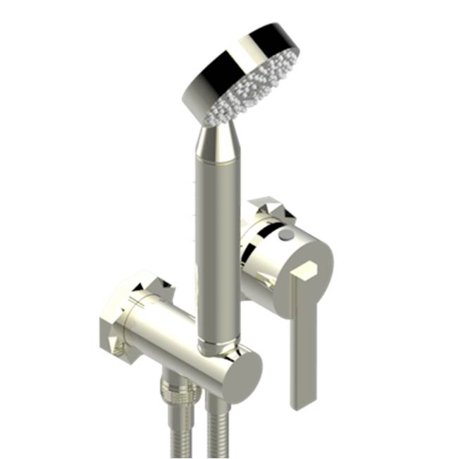 THG - Trim Only For Wall Mixer With Complete Handshower On Hook - Nickel Polished