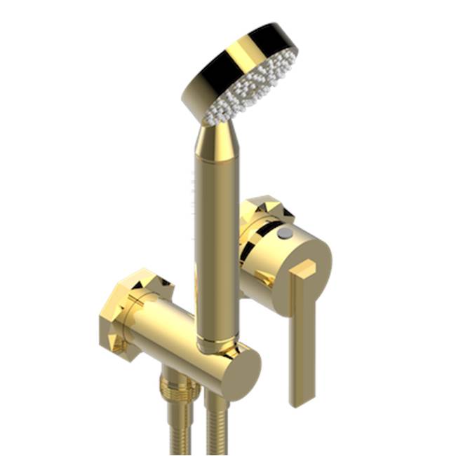 THG - Trim Only For Wall Mixer With Complete Handshower On Hook - Gold Polished