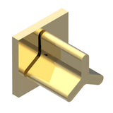 THG - Wall volume control 30 & 32 trim - Gold Color PVD
