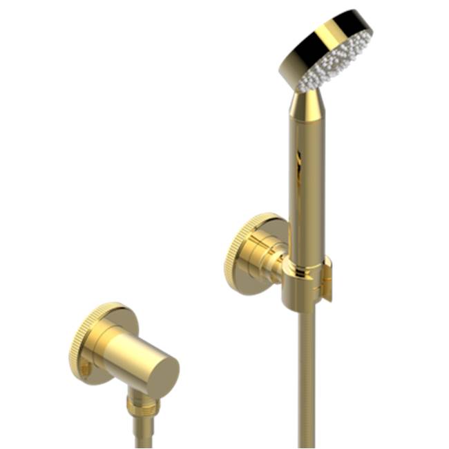 THG - Wall Mounted Handshower With Separate Fixed Hook - Gold Polished