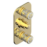 THG - Trim For Thg Thermostat 2 Volume Controls, Rough Part Supplied With Fixing Box Ref. 5 400ae/us - Gold Polished