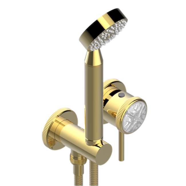 THG - Trim Only For Wall Mixer With Complete Handshower On Hook - Gold Polished