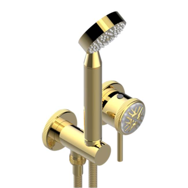 THG - Trim Only For Wall Mixer With Complete Handshower On Hook - Gold Polished