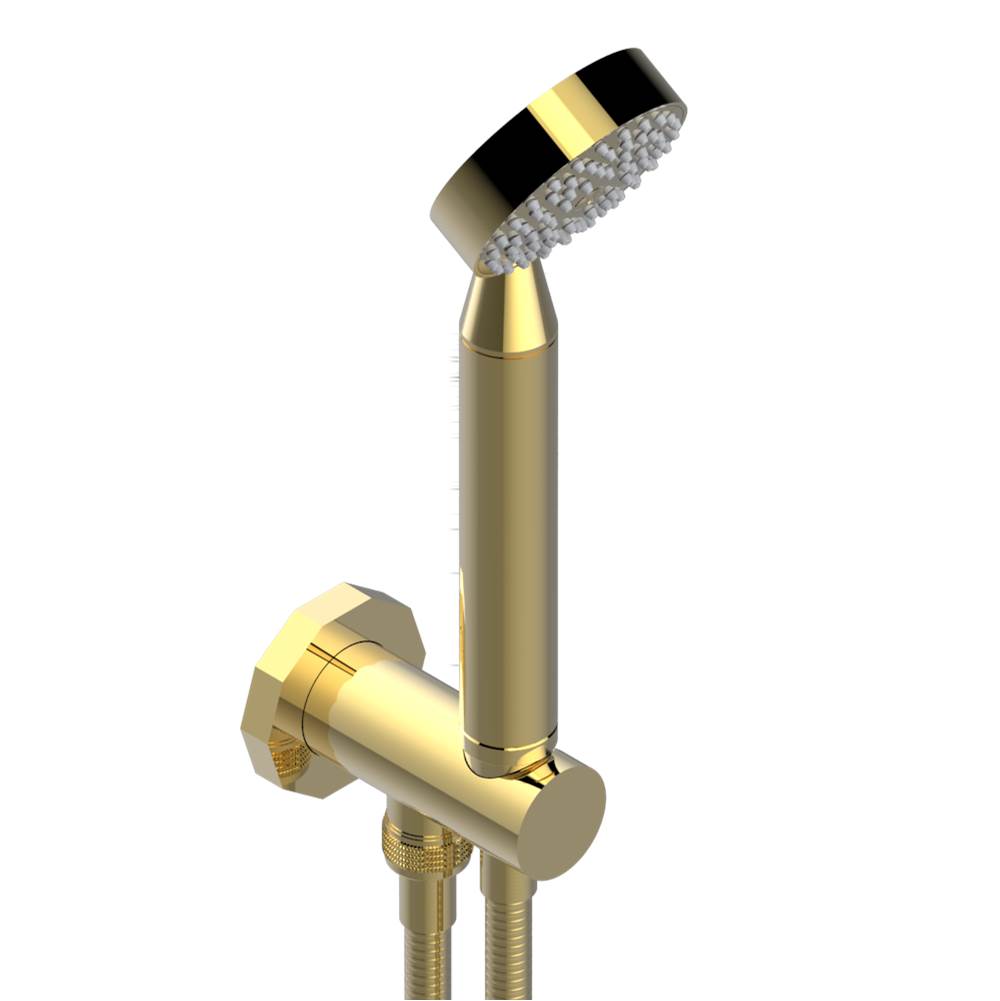 THG - Wall mounted handshower with integrated fixed hook - Gold Color PVD