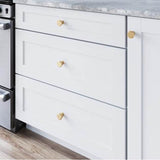 Ormonde Knob 1 3/8 Inch Ash Gray