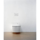 Toto  Round Push Button Plate For Neorest In-Wall Tank Unit, White Glass