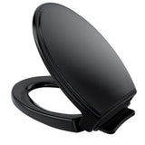 TOTO - TOTO Traditional SoftClose Slow Close Elongated Toilet Seat and Lid, Ebony - Ebony
