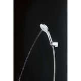 Toto G Series 1.75 Gpm Multifunction 4 Inch Round Handshower With Active Wave, Comfort Wave, And Warm Spa, Brushed Nickel